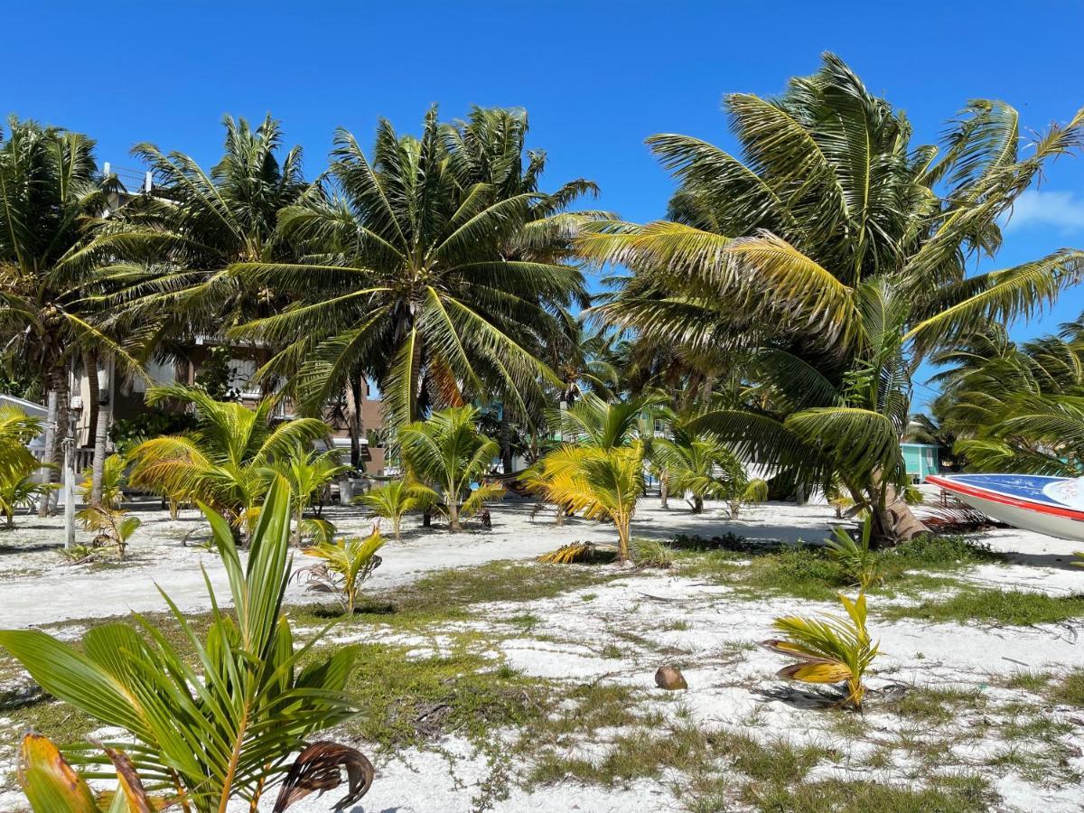 The Novelo Hotell Caye Caulker Eksteriør bilde