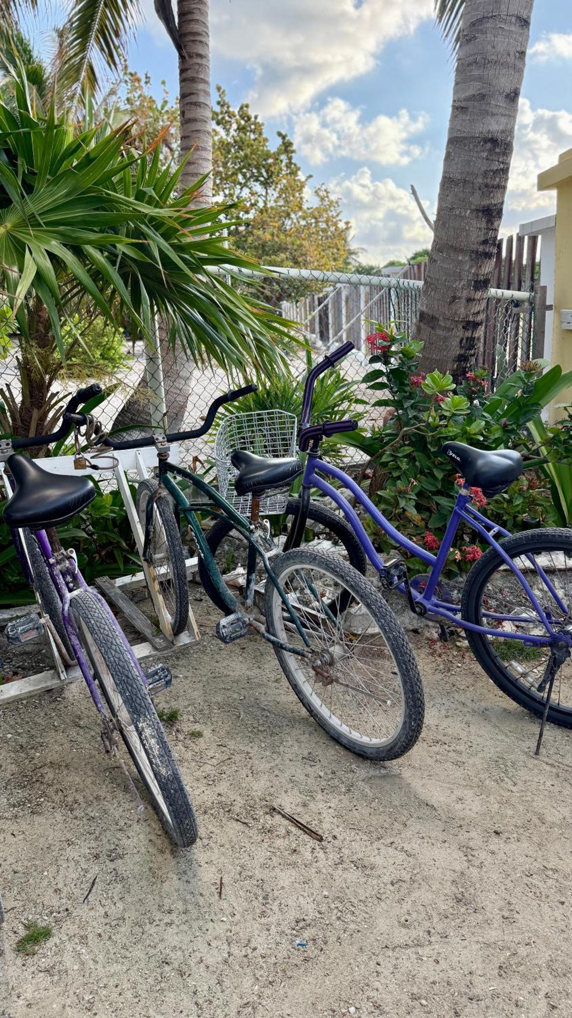 The Novelo Hotell Caye Caulker Eksteriør bilde